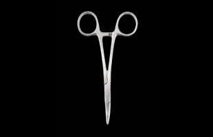 Halsteads Fine Curved Forceps 180mm
